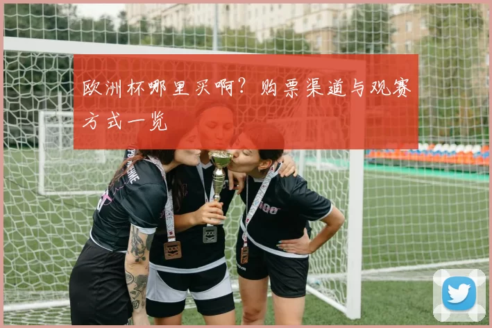 欧洲杯哪里买啊?购票渠道与观赛方式一览