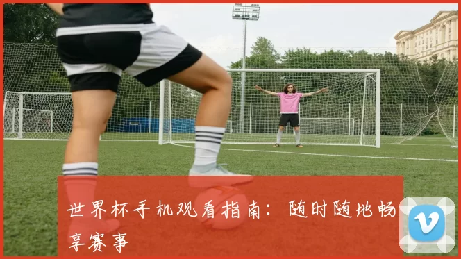 世界杯手机观看指南：随时随地畅享赛事