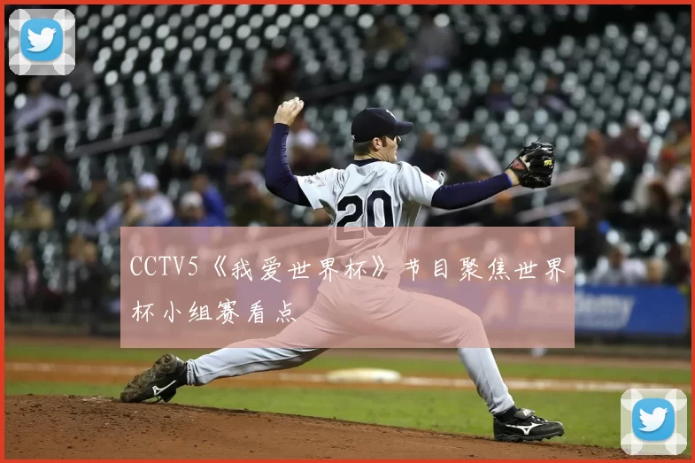 CCTV5《我爱世界杯》节目聚焦世界杯小组赛看点
