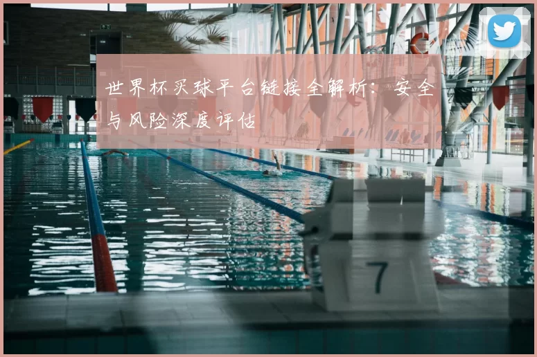 世界杯买球平台链接全解析：安全与风险深度评估