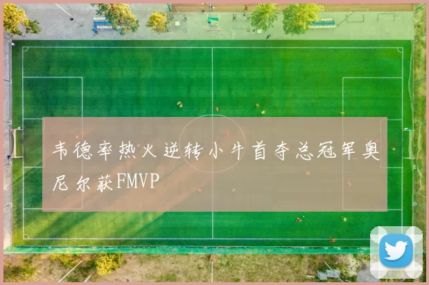 韦德率热火逆转小牛首夺总冠军奥尼尔获FMVP