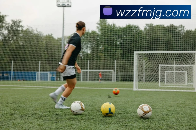 奖项图3